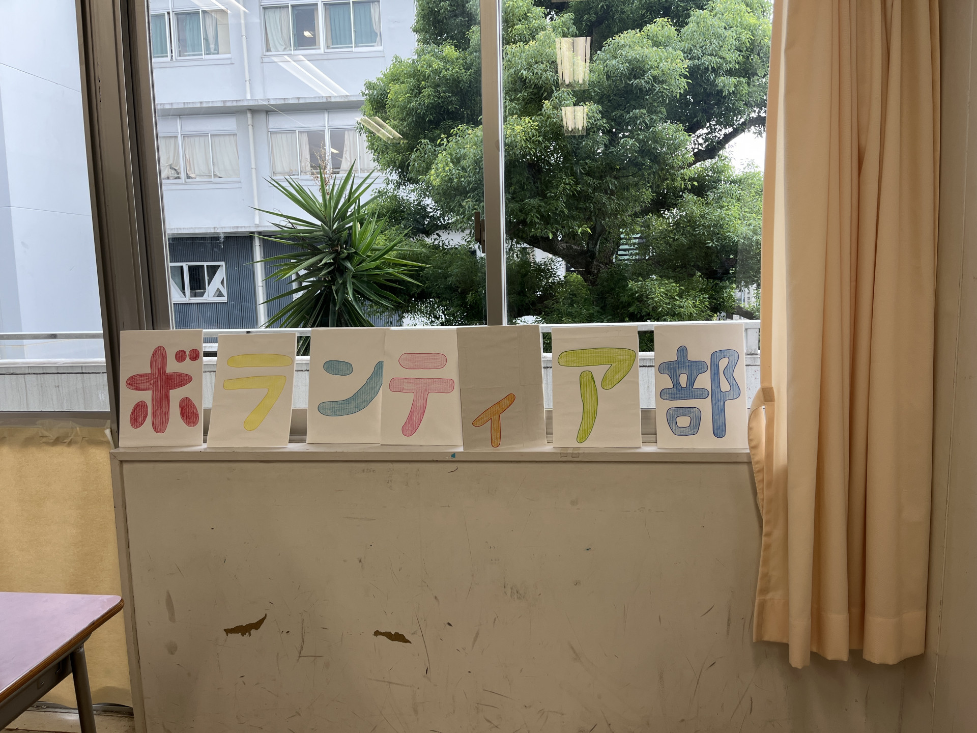 画像 -20240822-002404-ca8e94d2